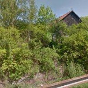 obrazek: avatar ZÁKLADNÍ KYNOLOGICKÁ ORGANIZACE TRMICE-ÚJEZD