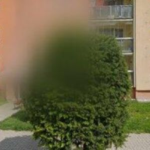 obrazek: avatar SOCHOR JOSEF Ing.