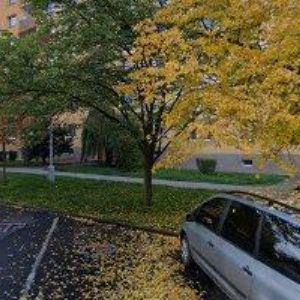 obrazek: avatar ŠTECH JOSEF Ing.