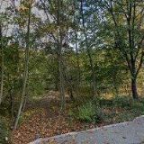 PRODILISTE INTERNATIONAL CZ s.r.o.