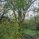 NATURTEP spol. s r.o.