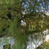 MORAVCOVÁ LUDMILA MUDr.