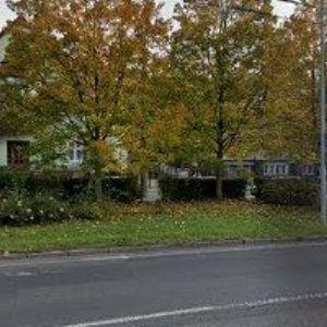 obrazek: avatar SALON SOFIA