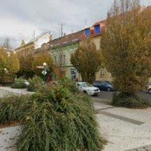 obrazek: avatar BENEŠ KVĚTOSLAV