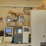 PĚNKAVOVÁ MARTA Mgr.