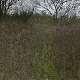 ŘÍMSKOKATOLICKÁ FARNOST Minice