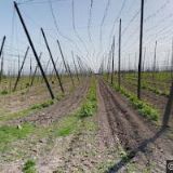 ŘÍMSKOKATOLICKÁ FARNOST Horní Ročov