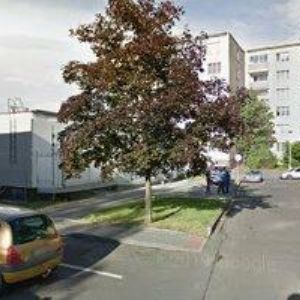 obrazek: avatar PÉMOVÁ JIŘINA-OÁZA REHABILITACE