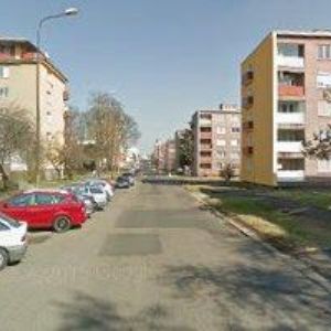 obrazek: avatar KRUPIČKOVÁ ADRIANA