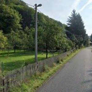 obrazek: avatar ČESKÝ RYBÁŘSKÝ SVAZ, MO Chřibská