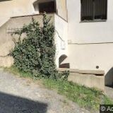 SDRUŽENÍ PRO ÚŠTĚCKOU SYNAGOGU A HŘBITOV