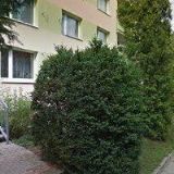 KOTAŠKA JIŘÍ Ing.