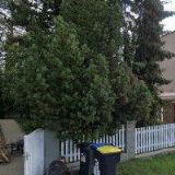 VAGNEROVÁ VLASTA Ing.