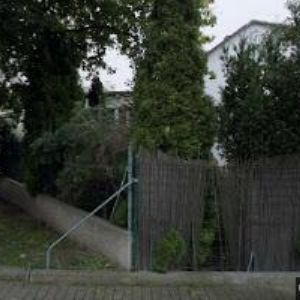 obrazek: avatar PELIKUSOVÁ DAGMAR