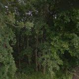 BAŽANT JAROSLAV Ing.