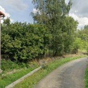 obrazek: avatar ČESKÝ RYBÁŘSKÝ SVAZ, MO Jiříkov