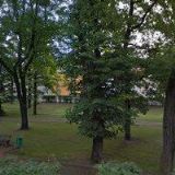 KLUB ELEMENTÁRNÍ FANTAZIE