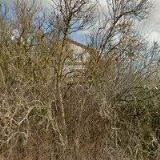 FARNÍ SBOR ČESKOBRATRSKÉ CÍRKVE EVANGELICKÉ V CHOTINĚVESI