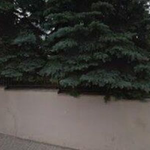 obrazek: avatar PTÁČEK KAREL