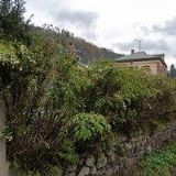 DĚČÍNSKÉ STAVBY s.r.o.