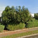 ČESKÝ RYBÁŘSKÝ SVAZ, MO Žatec