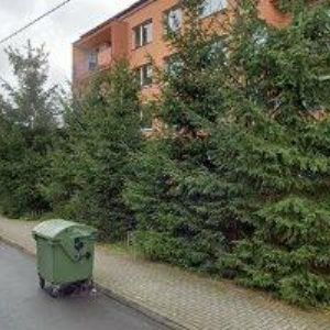 obrazek: avatar GREGOROVÁ ZUZANA MUDr.