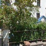 KARAMANOVÁ ZDEŇKA MUDr.