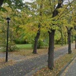 obrazek: avatar SBOR CÍRKVE BRATRSKÉ V TEPLICÍCH