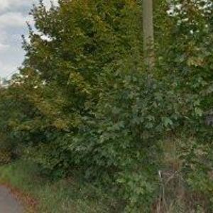 obrazek: avatar JEZDECKÝ KLUB TEPLICE