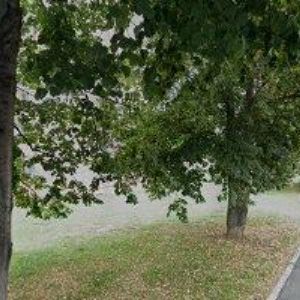 obrazek: avatar SUCHÝ JIŘÍ