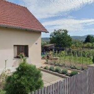 obrazek: avatar POLABSKÉ DĚTI