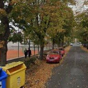 obrazek: avatar PETTRICH LUDĚK-ELVA