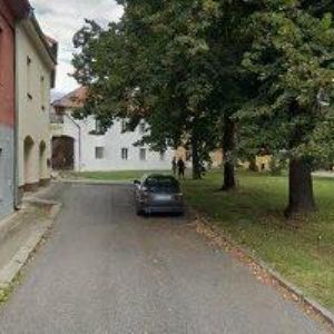 obrazek: avatar TRUTNOVSKÁ ALENA