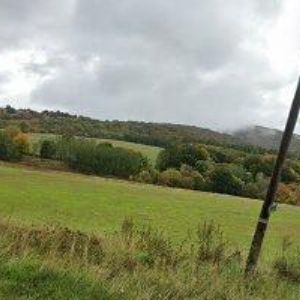 obrazek: avatar MINIFARMA