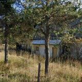 MYSLIVECKÉ SDRUŽENÍ Barváři-Krušné Hory