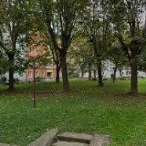 ŠMÍDOVÁ MARTINA MUDr.