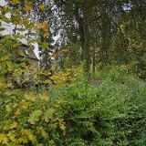 DYTRYCHOVÁ TAŤÁNA Ing.