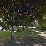 PRONTEKEROVÁ JANA-KADEŘNICTVÍ