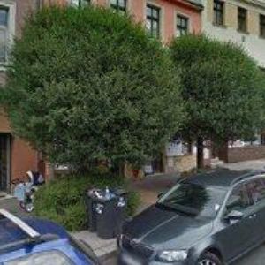 obrazek: avatar ZELINKOVÁ MARIE