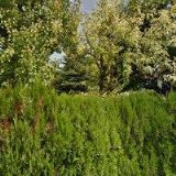 KOSMETICKÝ SALON JITKA