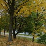 BURDYCHOVÁ PEDIKÚRA