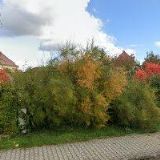 HAMOUZ ZDENĚK MUDr.