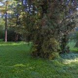 ZŠ A MŠ Ploskovice