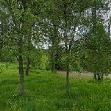 ZŠ SGT. J. C. KLUTTZE A MŠ Kovářská