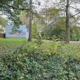 DRAXLOVÁ ŠÁRKA Ing.