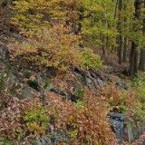 CHADŽIJSKÁ MARCELA