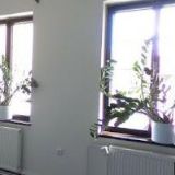 JIRÁSKOVÁ SOŇA Bc.