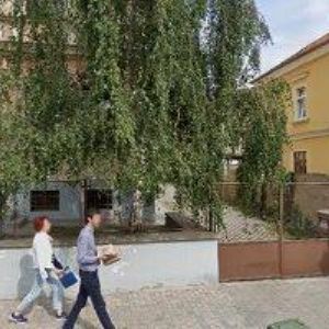 obrazek: avatar HAVLOVÁ HANA MUDr.