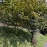 GP GÁZ PETROL spol. s r.o.