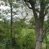 GYMNÁZIUM JANA AMOSE KOMENSKÉHO s.r.o.